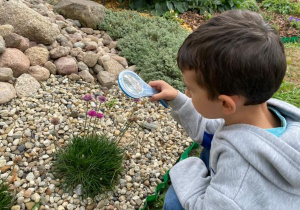 chłopiec kuca i obserwuje rośliny na skalniaku na terenie ogródka "Słoneczna Akademia"